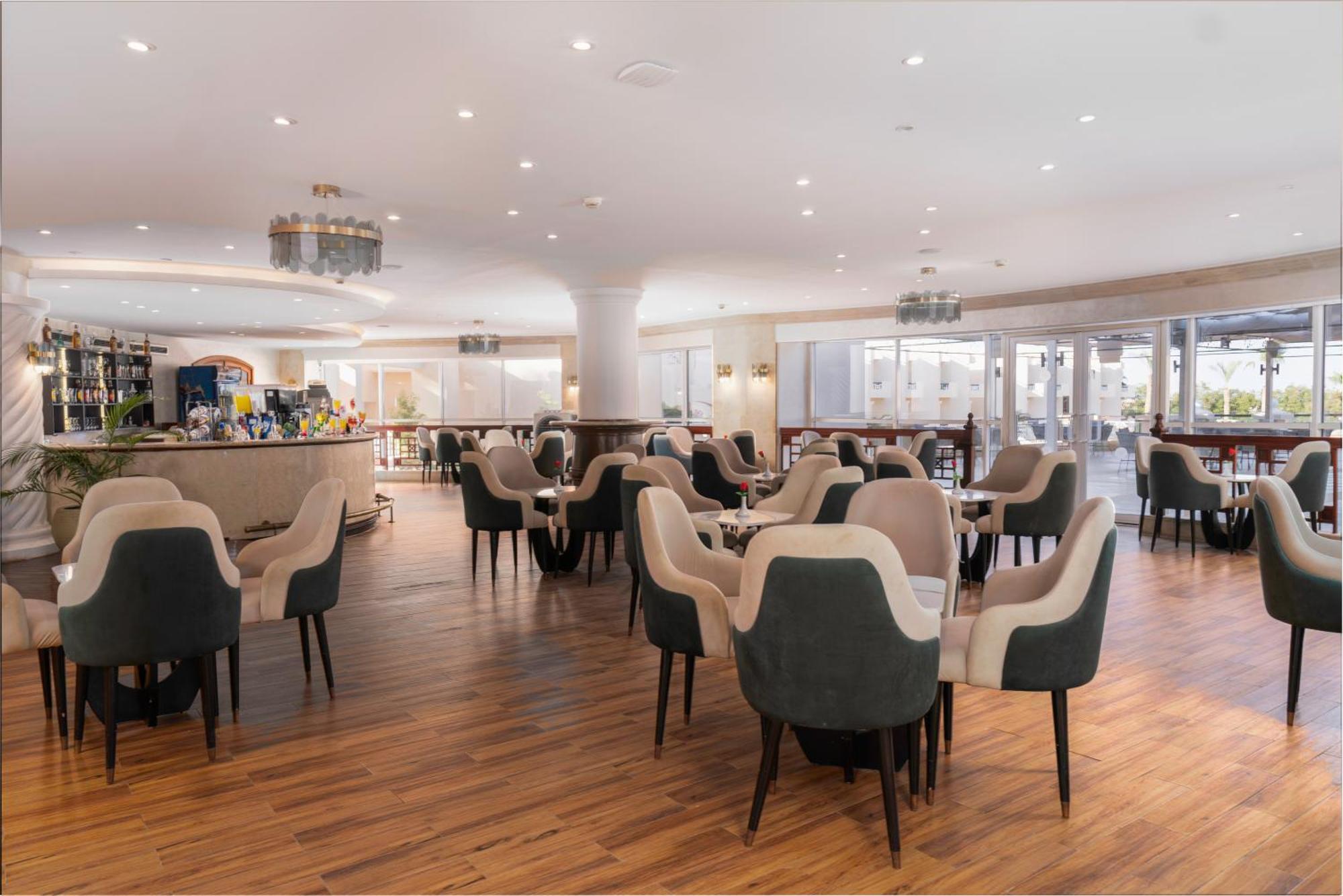 Ivy Cyrene Adults Friendly 13 Sharm El-Sheikh
