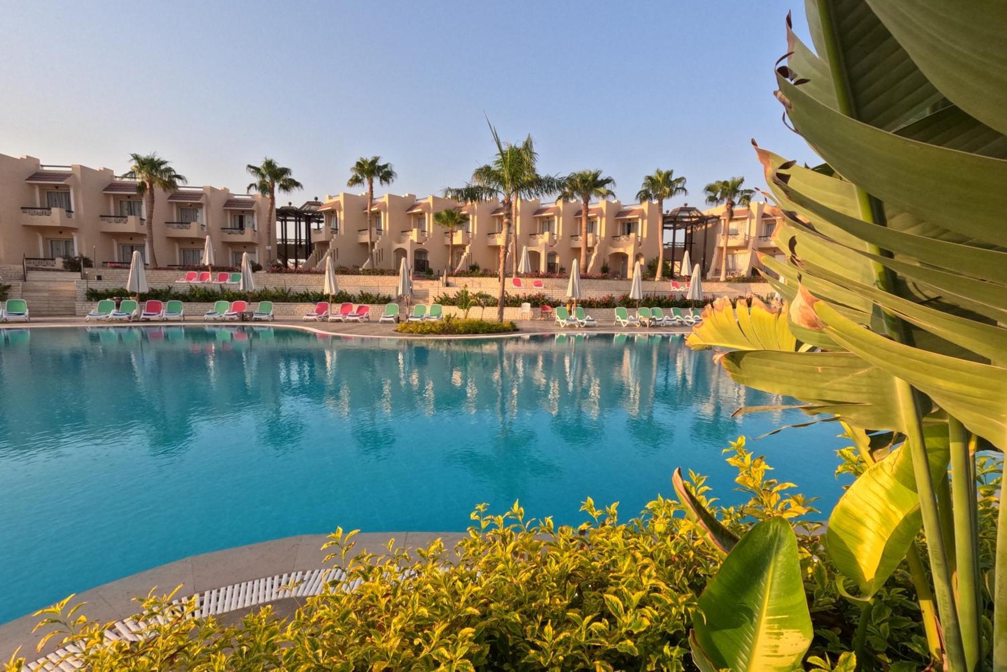 Ivy Cyrene Adults Friendly 13 4* שארם א-שייח